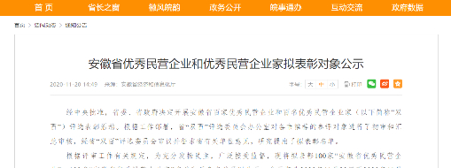 中水龙8国际荣获安徽省优异民营企业表扬