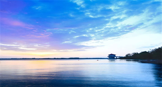 龙8-long8(国际)唯一官方网站