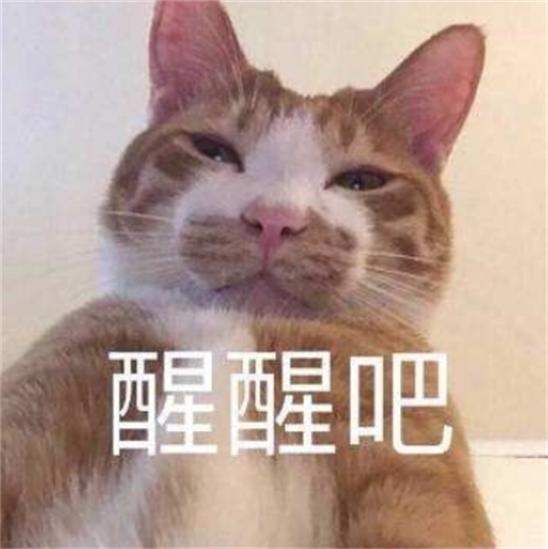 龙8-long8(国际)唯一官方网站